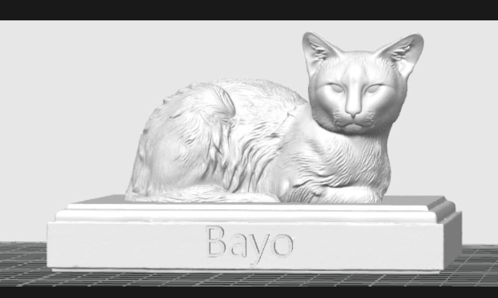 The 3D model